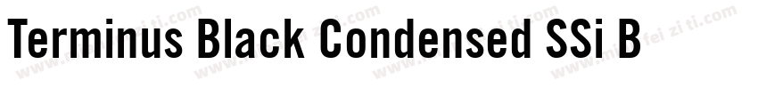 Terminus Black Condensed SSi Bold Condensed字体转换